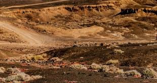 各种牛牛玩法大盘点：通比牛牛 vs 抢庄牛牛。